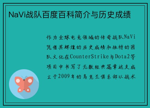 NaVi战队百度百科简介与历史成绩